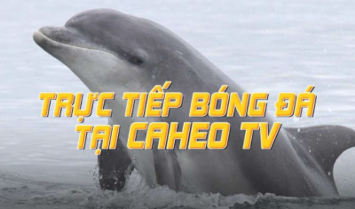 Ca-heotv.ink - Kênh xem bóng đá trực tiếp FULL HD